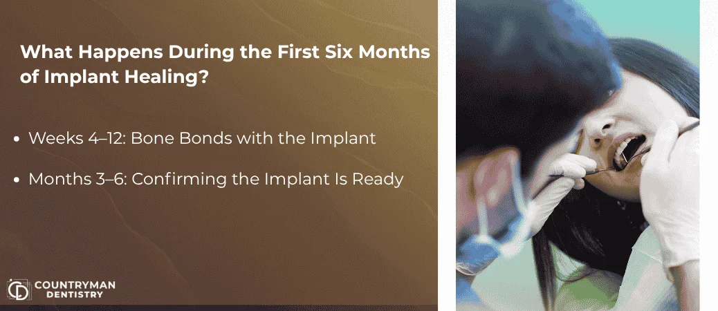What Happens Beneath the Gums in Months 1–6