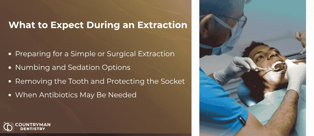 What-To-Expect-During-An-Extraction